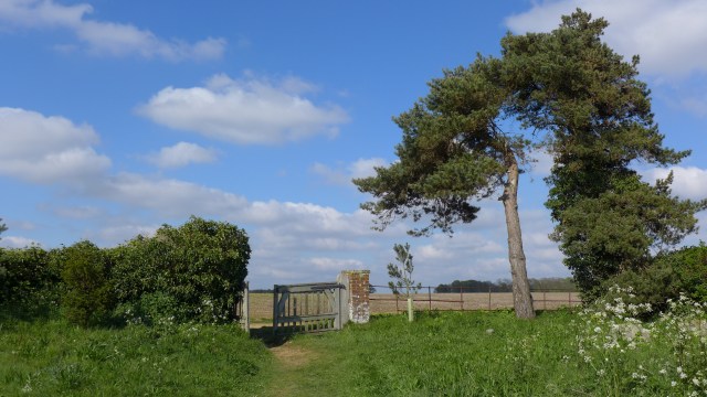 the gate all saints church ramsholt