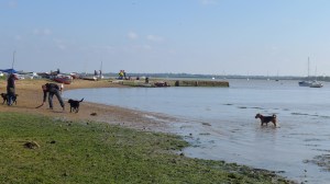 asta awaits stick at ramsholt